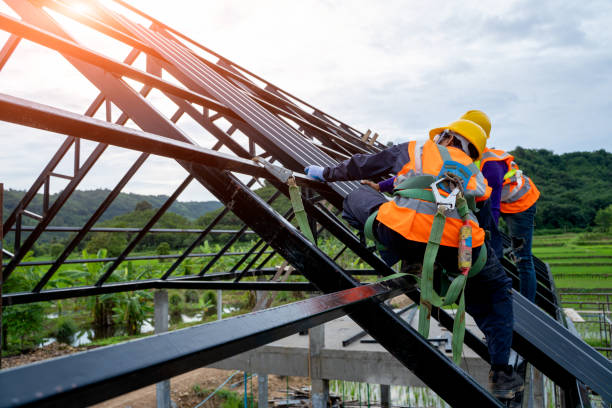 Best Roof Gutter Cleaning  in Thunderbolt, GA